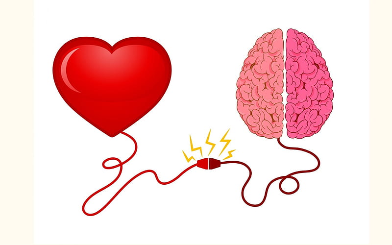 The Secret to a Healthy Brain? Start Taking Care of Your Heart 